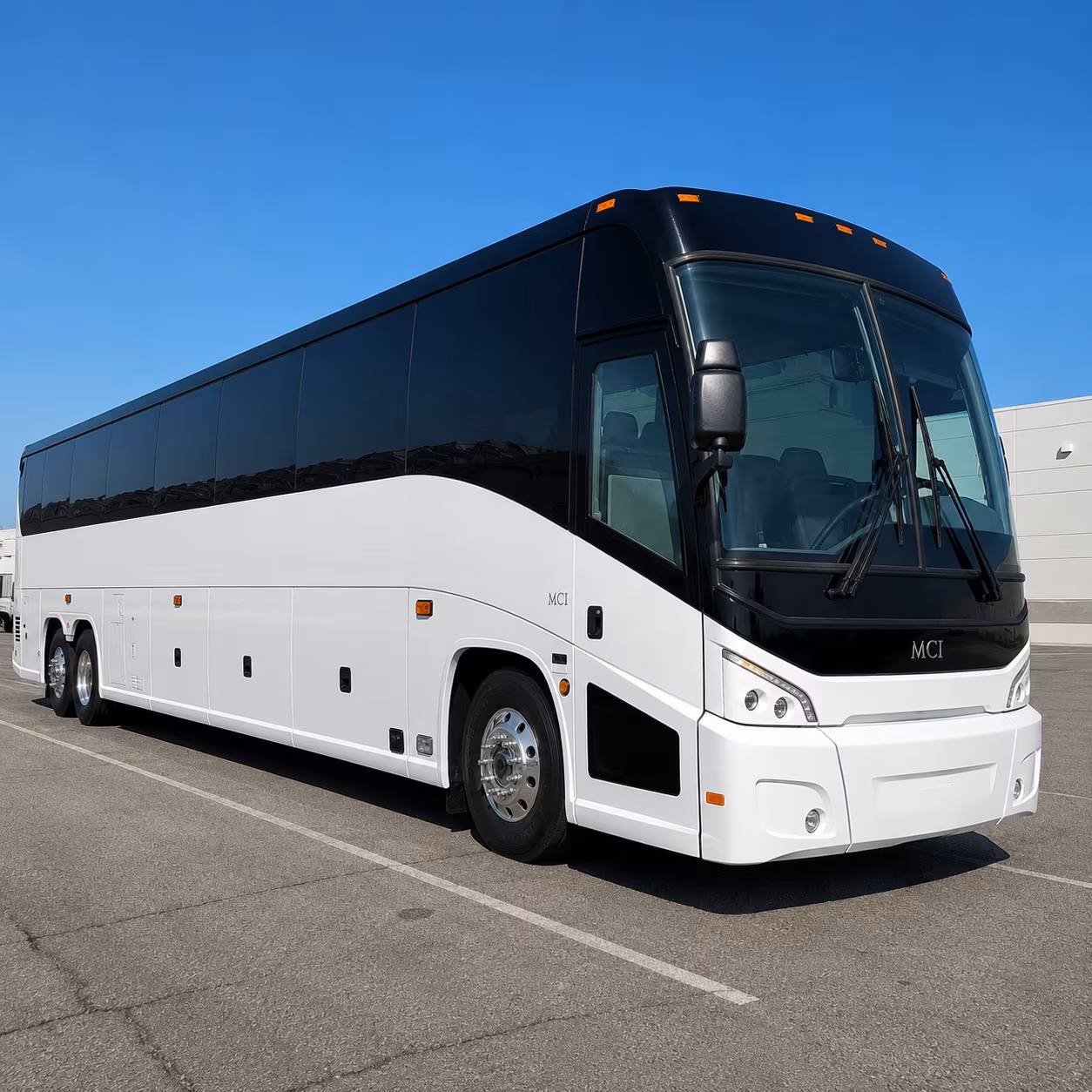 buses for science and history museum field trips in corpus christi