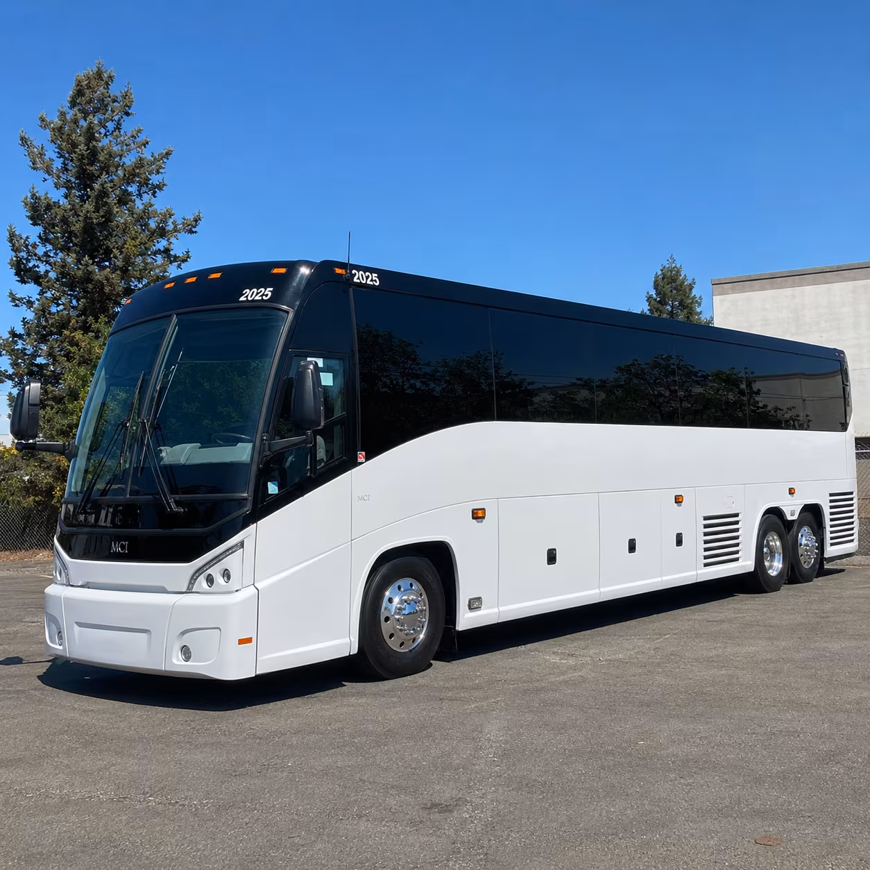 fiesta de la flor and buc days festival buses
